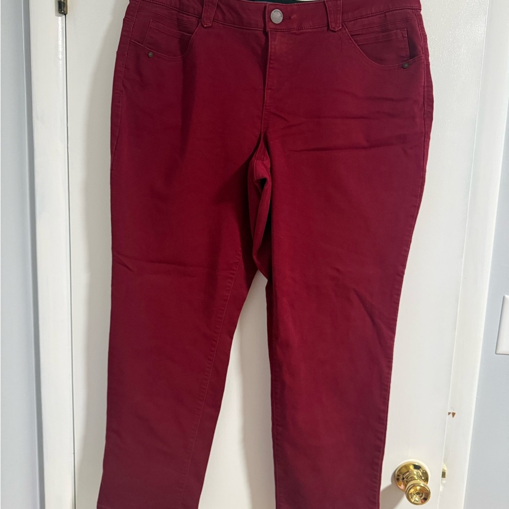 Democracy Deep Red Trousers